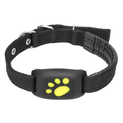 Collar Localizador GPS para Mascotas (Perros y Gatos)